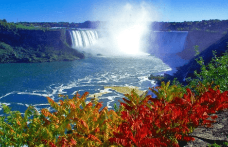 Niagara Falls Conservation