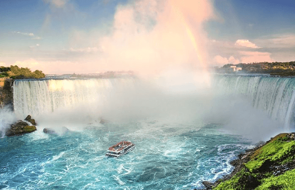 Niagara Falls Wildlife