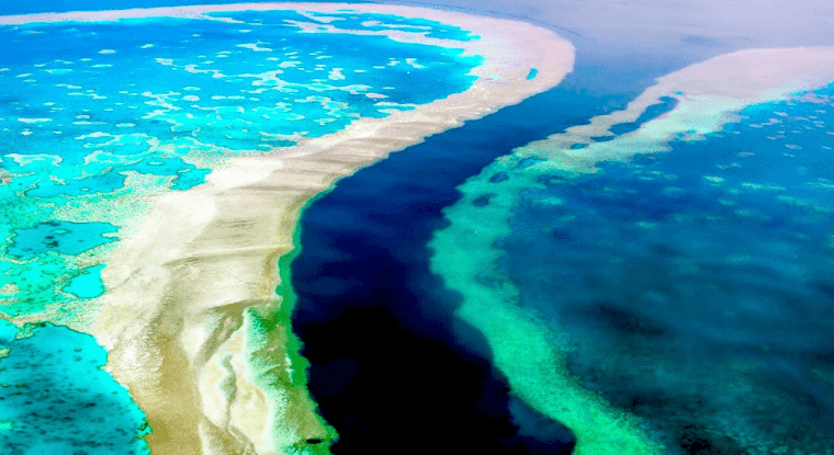 Best Time to Visit Great Barrier Reef