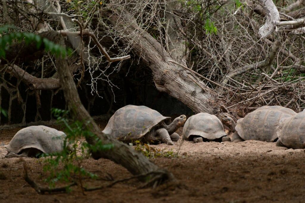 Ecotourism examples