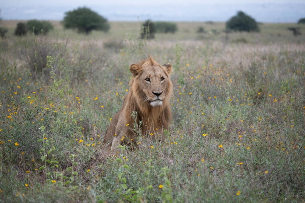 Example Ecotourism