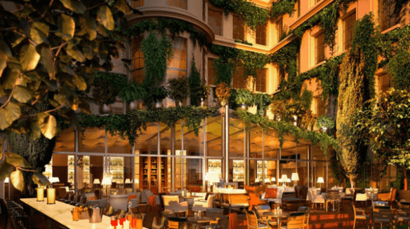 Biophilic Hotel Design Sustainability Hospitality