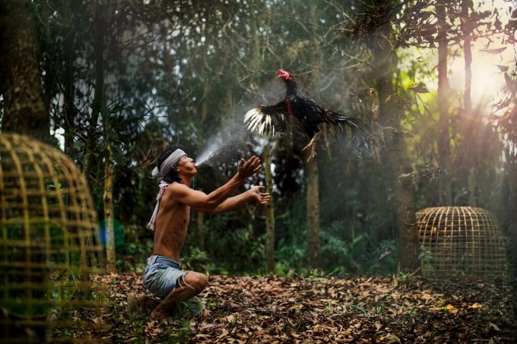 Community Based Tourism Thailand Immersive Experience