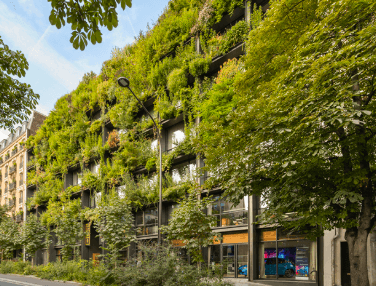 Green Hotel Marketing Strategies