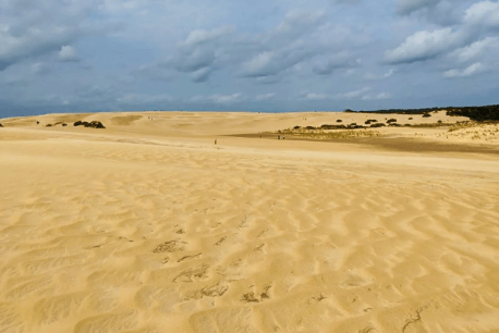 Jockey s Ridge State Park