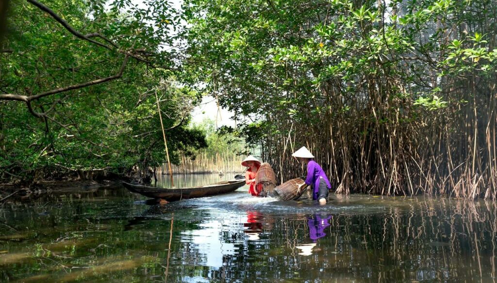 Mangrove Exploration Thailand