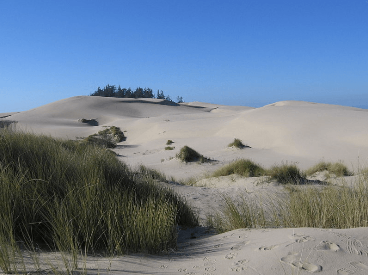 Oregon Dunes Recreation National Park
