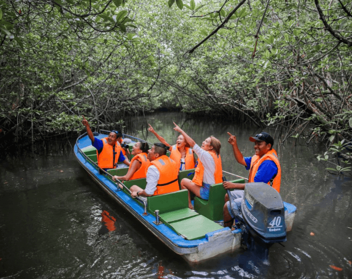 Bintan mangrove Tour