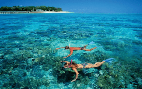 Go Bintan Island From Singapore